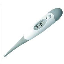 Flexible Tip Thermometer